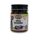 Erva Baleeira – Canteiro de Ervas, 700 mg por cáps 60 cáps